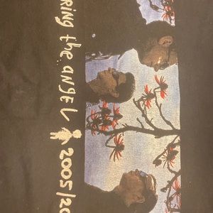 Depeche Mode Touring The Angel Festival Shirt